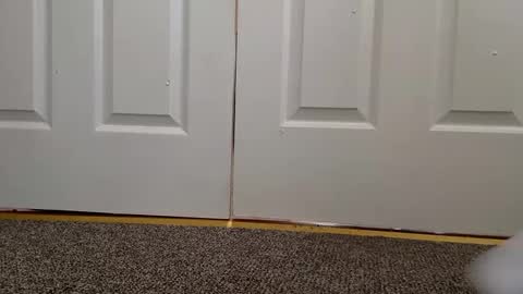 cash13bychanel online show from December 2024 08:28:02 PM