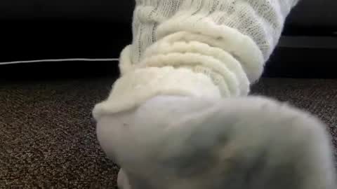 cash13bychanel online show from December 2025 07:00:01 PM