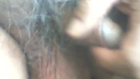 castells online show from June 2026 03:15:02 PM