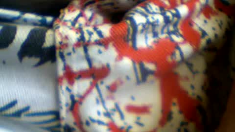 castells online show from June 2026 04:11:02 PM