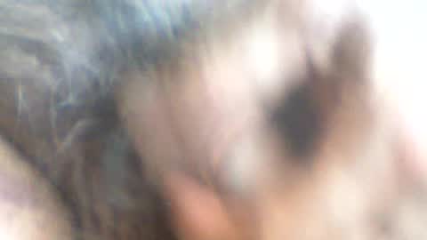 castells online show from June 2026 03:49:02 PM