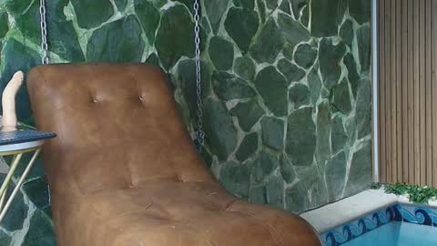 Dani   online show from April 2026 03:09:02 PM