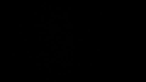 Snapshot of cata_n_cami chatting on December 2024 10:08:02 PM cata_n_cami online show from December 2024 10:08:02 PM