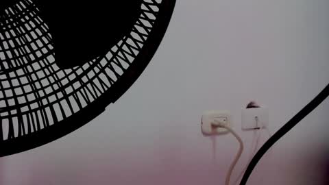 catalaia_stomm online show from January 2025 01:24:01 PM