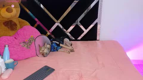 Catalina  online show from March 2026 10:15:02 PM