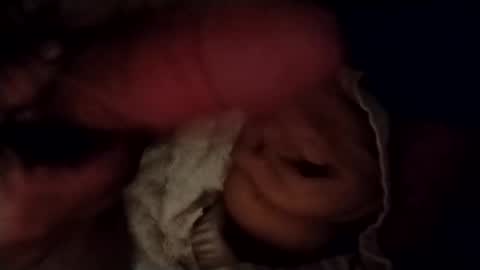 Snapshot of catdaddy179057 chatting on February 2026 11:30:01 AM catdaddy179057 online show from February 2026 11:30:01 AM