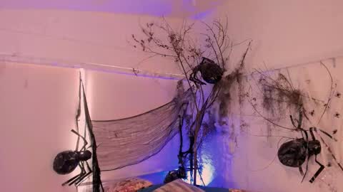 Catleya  online show from November 2025 08:33:02 PM