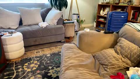 Snapshot of cdub2533 chatting on February 2026 05:55:01 PM Coach Daddy online show from February 2026 05:55:01 PM