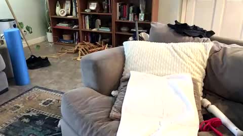 Snapshot of cdub2533 chatting on February 2026 08:06:01 PM Coach Daddy online show from February 2026 08:06:01 PM