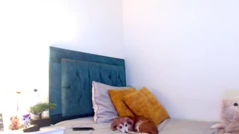 Cedrixx10 online show from March 2026 11:10:02 PM