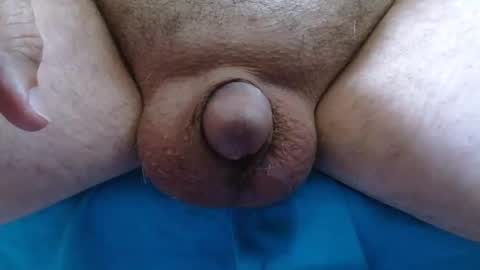 Snapshot of cefalu chatting on October 2025 05:59:02 PM cefalu online show from October 2025 05:59:02 PM