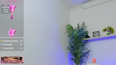 Celeste  online show from January 2025 09:34:01 PM