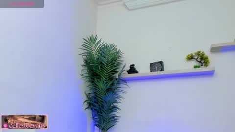 Celeste  online show from February 2025 02:59:02 PM