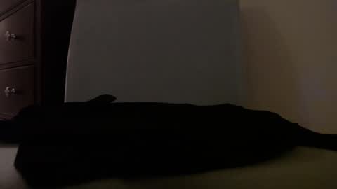 Snapshot of centerfield24 chatting on January 2025 07:17:01 AM Centerfield online show from January 2025 07:17:01 AM