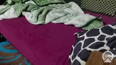 cezar online show from February 2025 08:33:02 PM