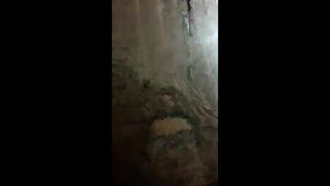 chacal6311 online show from February 2026 01:31:01 AM