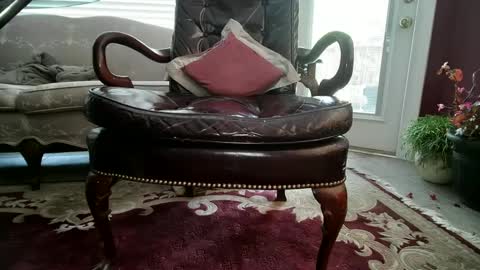 chad online show from December 2024 07:11:01 PM