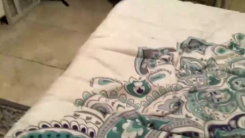 charliebroun online show from February 2025 06:15:02 AM