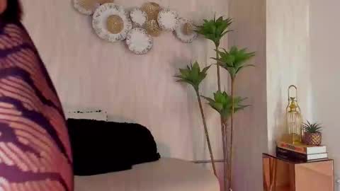   Charlotte  online show from February 2026 03:33:01 AM