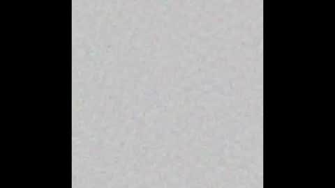 Charlotte online show from October 2025 02:34:01 PM