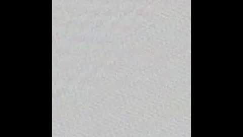 Charlotte online show from October 2025 06:49:02 PM