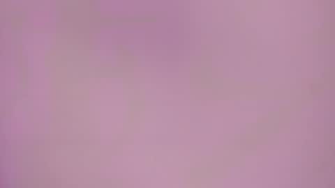 Charlotte Icee online show from February 2026 04:02:01 PM