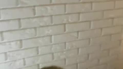 charlottebunnyuwu online show from February 2025 02:35:01 AM