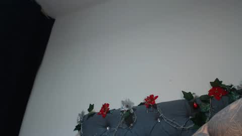 charlottee07 online show from February 2025 07:31:02 AM