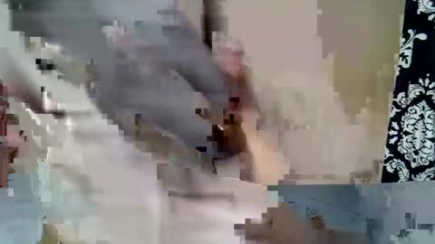 Keve Meddy online show from February 2026 06:38:01 PM