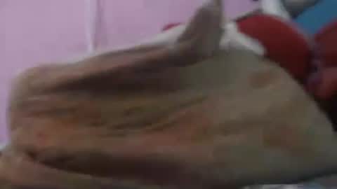 Snapshot of cheliafun chatting on April 2026 02:42:01 PM Cheila online show from April 2026 02:42:01 PM