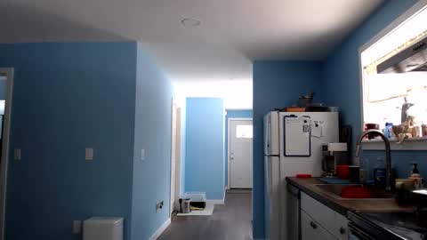 Chelsea online show from March 2026 04:12:02 PM