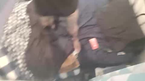 Chevy online show from October 2025 11:21:02 AM