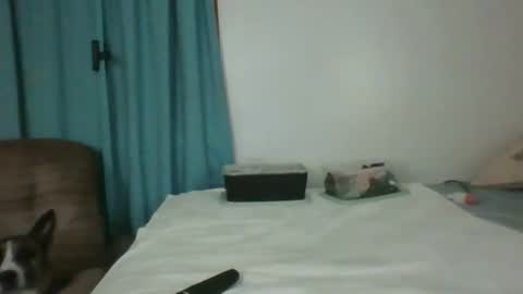 Snapshot of chevybear69 chatting on June 2026 01:16:02 AM Jade and Thomas online show from June 2026 01:16:02 AM
