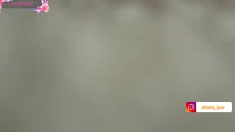 Chiara Lovense is active Pvt open online show from December 2024 05:48:01 PM