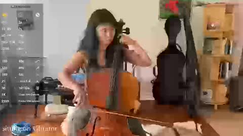 judith online show from September 2025 04:07:01 PM