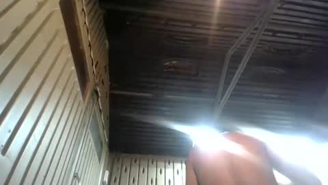 CHINO online show from February 2025 04:51:02 AM