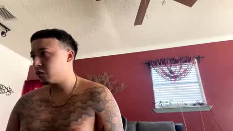 CHINO online show from February 2026 04:43:01 PM