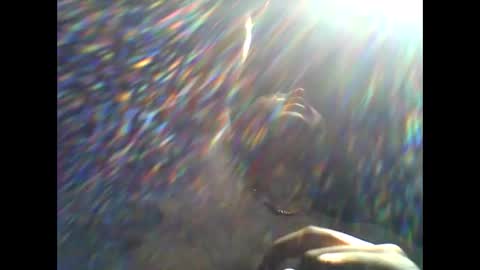 CHINO online show from April 2026 02:21:01 PM