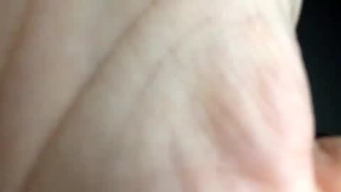 chippytits65 online show from February 2025 05:54:02 AM