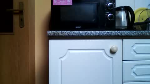 chlupac73 online show from December 2024 10:39:02 AM