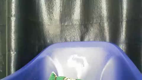 chocoslut22 online show from December 2025 03:45:02 AM