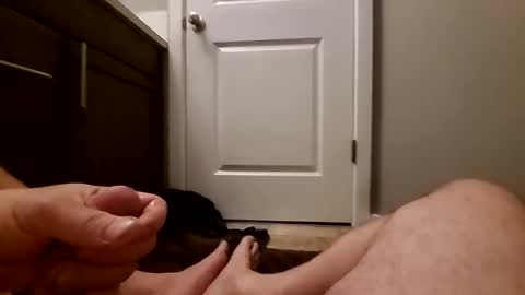 chubbycurious1133 online show from April 2026 06:27:02 PM