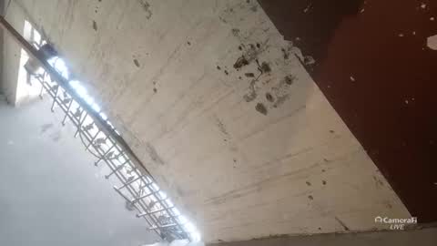 Circumsised Bull online show from January 2026 11:26:01 AM