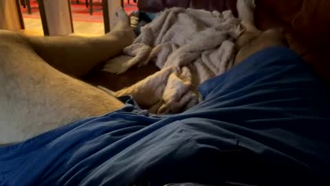 Snapshot of cj3d2 chatting on December 2024 09:52:01 PM Cjd32 online show from December 2024 09:52:01 PM