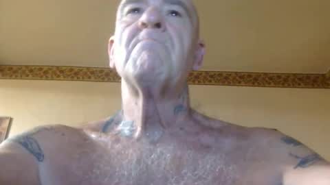 Pizza online show from June 2026 08:18:02 AM