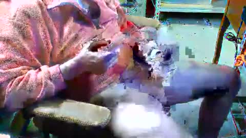 Snapshot of clayyalc2 chatting on January 2025 01:56:01 AM clayyalc2 online show from January 2025 01:56:01 AM