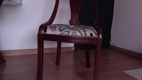 rocio online show from February 2025 05:29:02 PM