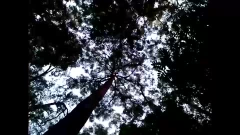 Snapshot of cmdwmd chatting on January 2025 08:57:02 AM Matriarch Muse online show from January 2025 08:57:02 AM