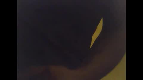 cobra1092 online show from February 2026 06:01:02 AM