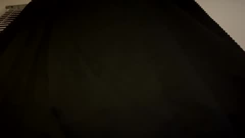 cockdixon online show from October 2025 09:31:01 AM